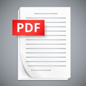Übersetzung einer PDF - EVS Translations
