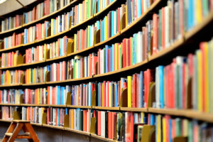 Terminologiemanagement für inhaltliche Konsistenz - EVS Translations