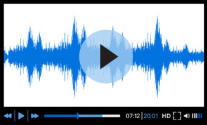 Audiovisuelles Projekt - EVS Translations