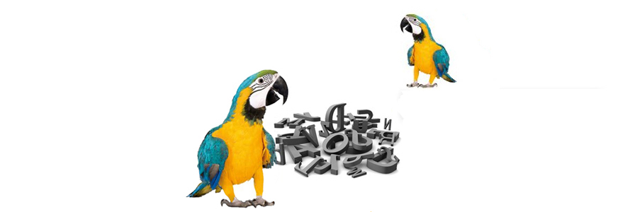 EVS Translations Translation services EVS Translations Translation services